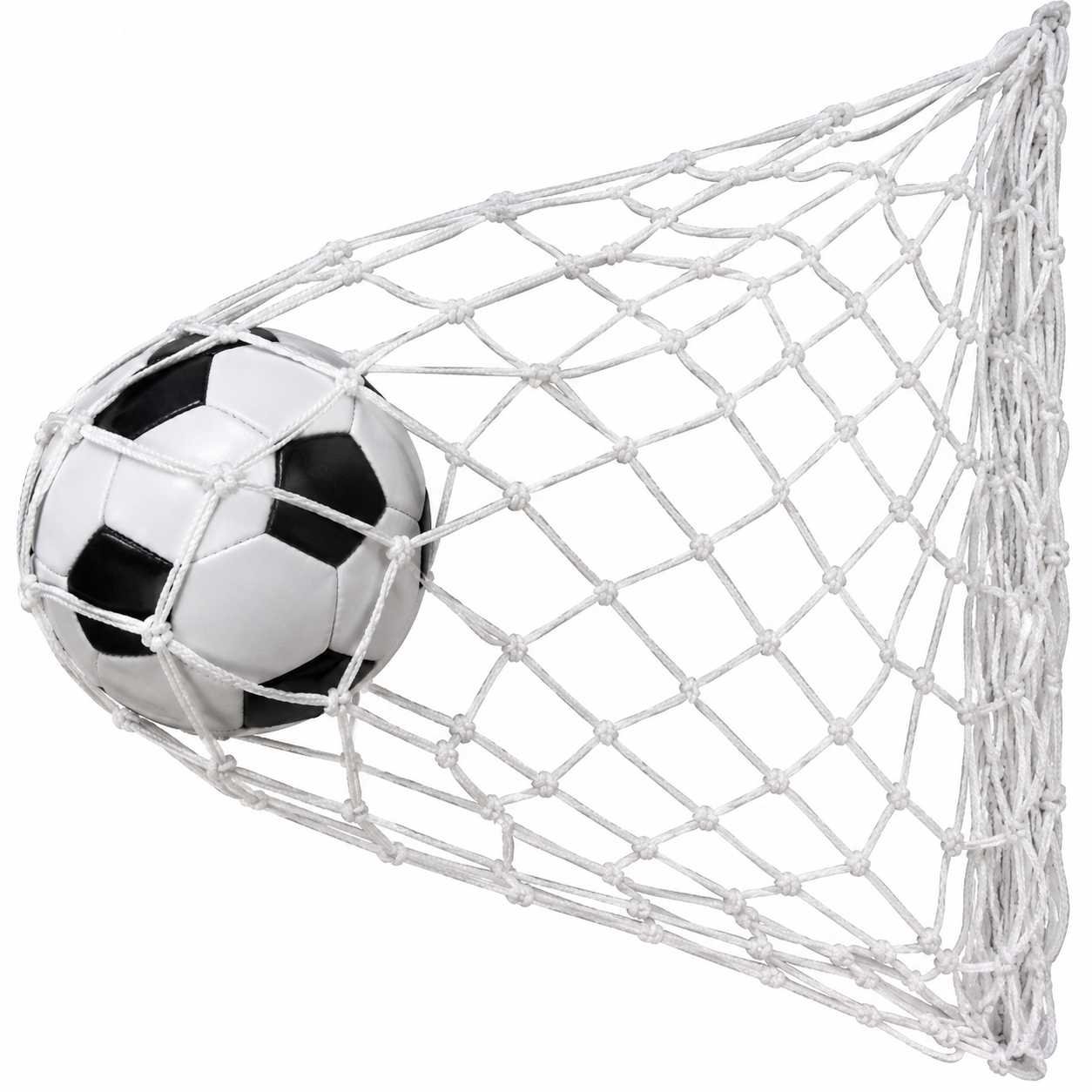 Soccer Ball Nets Manufacturer & Supplier | Custom Football Ball Nets